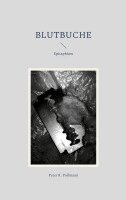 Peter R. Pollmann - Blutbuche, Häftad