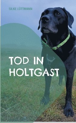 Tod in Holtgast 1