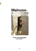 bokomslag Walnuss-Veredlung