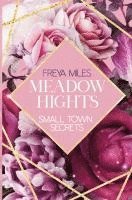 bokomslag MEADOW HIGHTS: Small Town Secrets