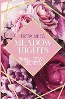 MEADOW HIGHTS: Small Town Secrets 1