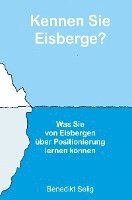 Kennen Sie Eisberge? 1