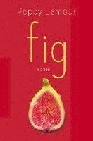 bokomslag fig