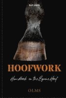 bokomslag Hoofwork