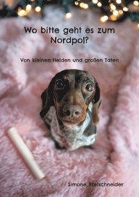 bokomslag Wo bitte geht es zum Nordpol?