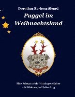 bokomslag Puggel im Weihnachtsland