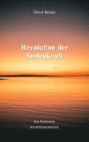 bokomslag Revolution der Seelenkraft