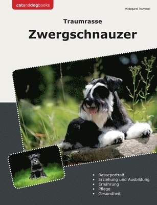 bokomslag Traumrasse Zwergschnauzer