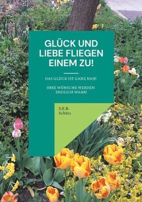 bokomslag Glck und Liebe fliegen einem zu!