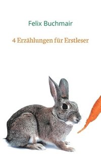bokomslag 4 Erzählungen für Erstleser