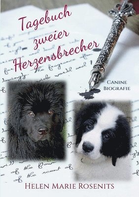 Tagebuch zweier Herzensbrecher 1