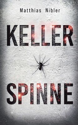 Kellerspinne 1