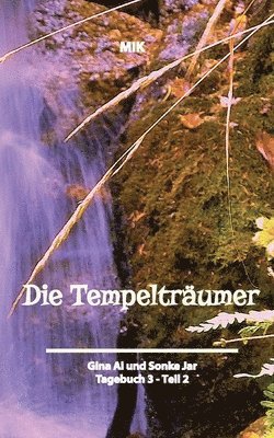 bokomslag Tempelträumer von Suidinier