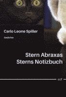 bokomslag Stern Abraxas Sterns Notizbuch