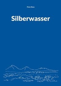 bokomslag Silberwasser