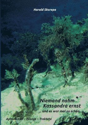 Harald Skorepa - Niemand nahm Kassandra ernst, Häftad