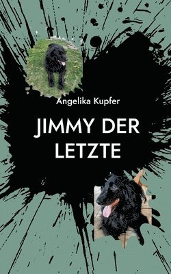 bokomslag Jimmy der Letzte