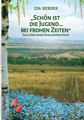 bokomslag Schön ist die Jugend ... bei frohen Zeiten