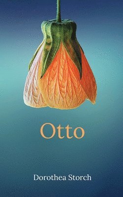 bokomslag Otto