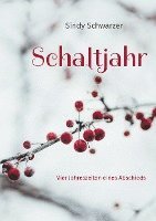 Schaltjahr 1