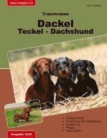 bokomslag Traumrasse: Dackel Teckel Dachshund