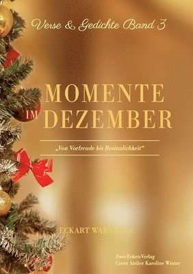 Eckart Warnecke - Momente im Dezember, Häftad