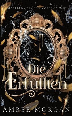bokomslag Erfüllten