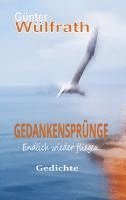 bokomslag Gedankensprünge