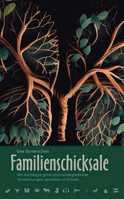 bokomslag Familienschicksale