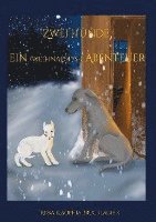 bokomslag Zwei Hunde ein (weihnachts-) Abenteuer