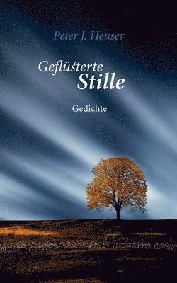 bokomslag Geflsterte Stille