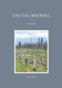 bokomslag Das Tal Irminsul