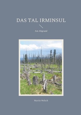 bokomslag Das Tal Irminsul