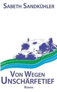 bokomslag Von wegen Unschärfetief