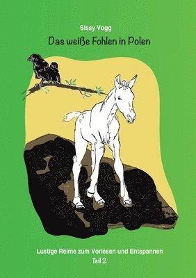 weiße Fohlen in Polen