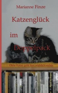 bokomslag Katzenglück im Doppelpack