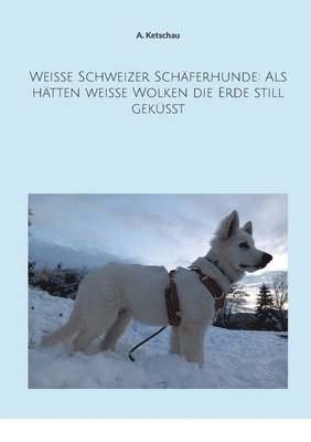 Weie Schweizer Schferhunde 1