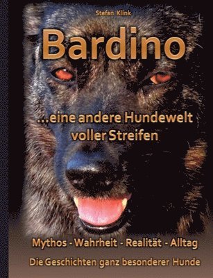 Bardino 1