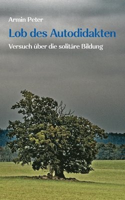 Lob des Autodidakten 1