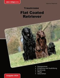 bokomslag Traumrasse Flat Coated Retriever