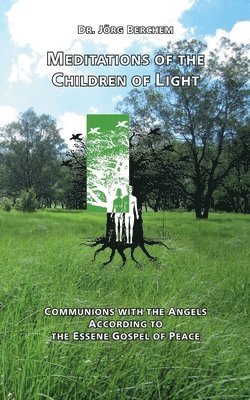 Jörg Berchem - Meditations of the Children of Light, Häftad