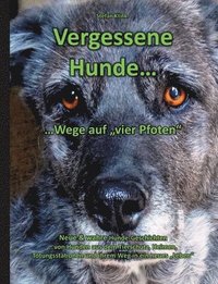 bokomslag Vergessene Hunde