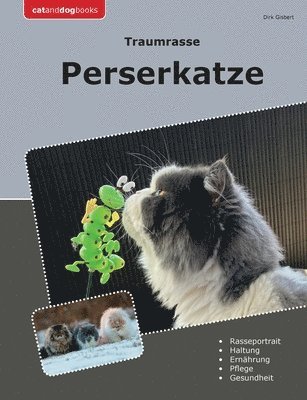 bokomslag Traumrasse Perserkatze