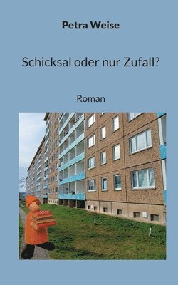 bokomslag Schicksal oder nur Zufall?