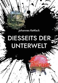 bokomslag Diesseits der Unterwelt