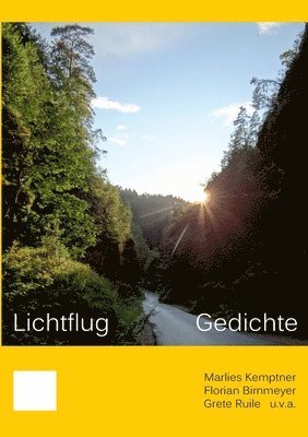 Lichtflug 1