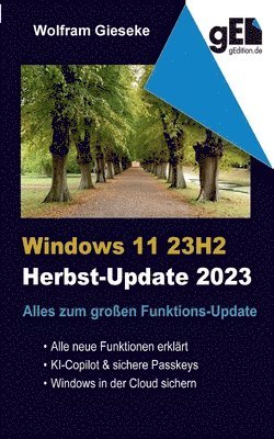 Windows 11 23H2 1