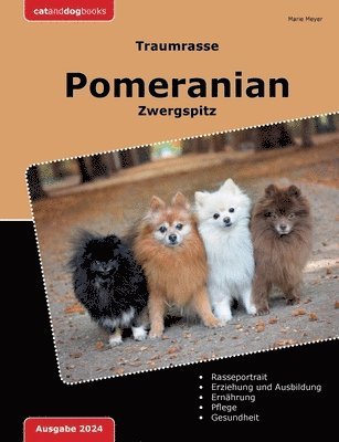 Traumrasse Pomeranian 1