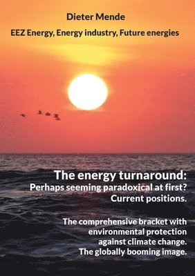Dieter Mende - energy turnaround, Häftad