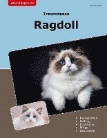 bokomslag Traumrasse Ragdoll